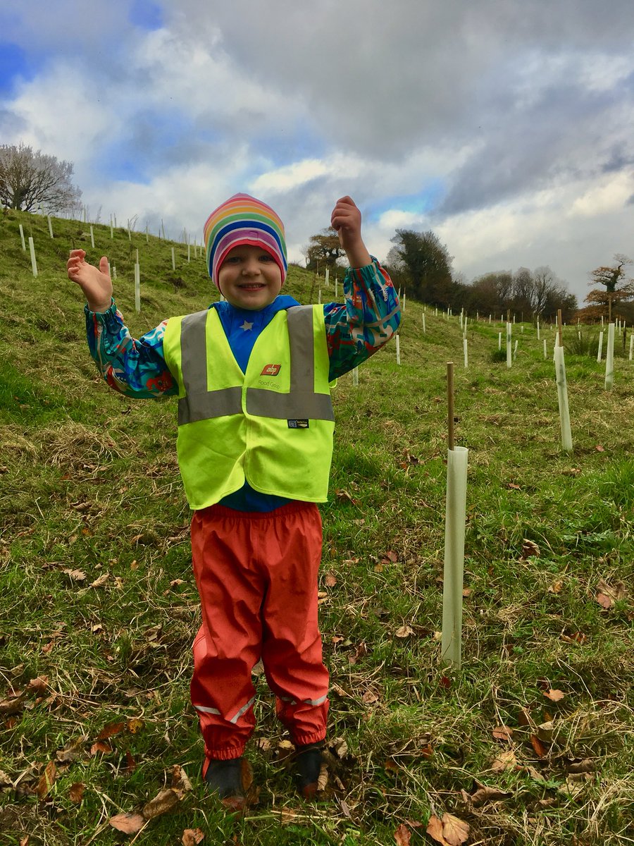 GlenoValleyBeef's tweet photo. Remember our little paddock? 100s of these guys🌲🌳🌴got planted today! Very excited! Fun times ahead for the #glenovalleybeef family 👩‍👩‍👧‍👦⛺️ https://t.co/ChC8sgIS2j