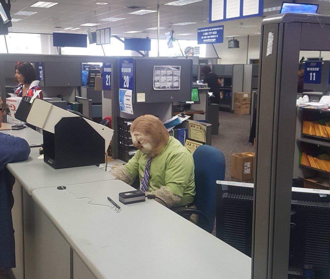 vanetosc's tweet photo. Went to the DMV on Halloween and I see this... https://t.co/eJt2QIbaju