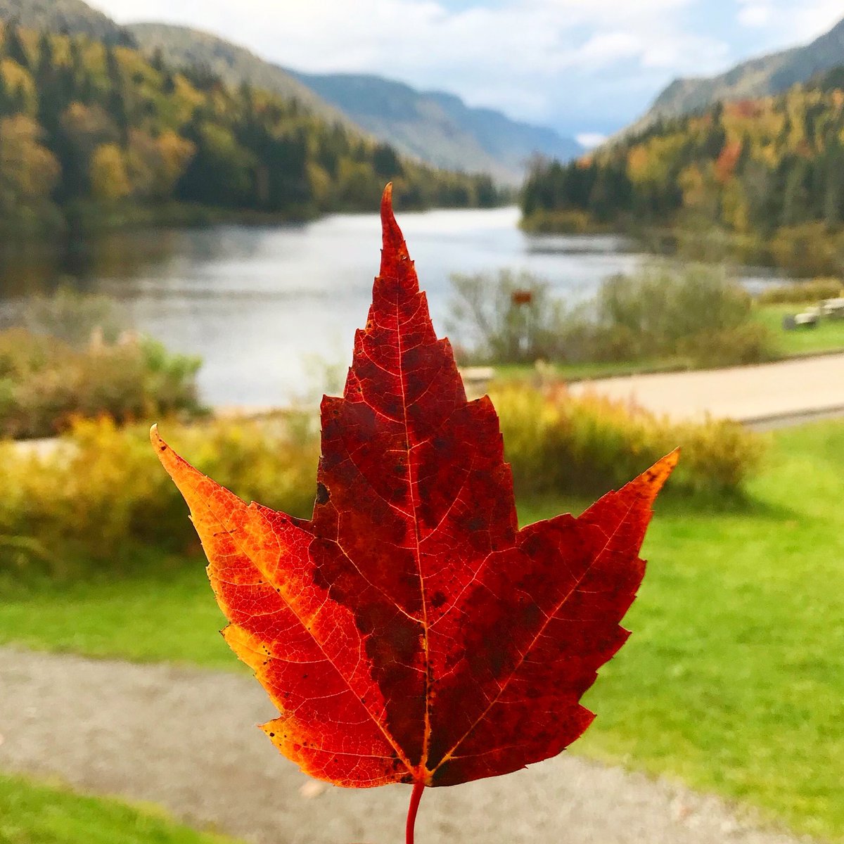 TruBlue Est1987 tweet media