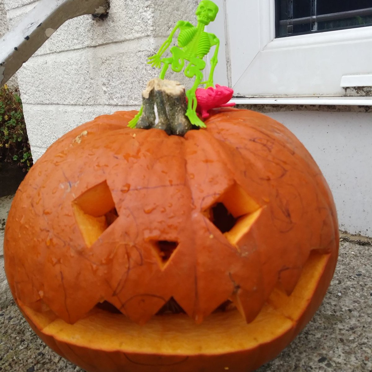 SriSpiceLtd's tweet photo. Don't let the Skeleton run off with your pumpkin- Make a pumpkin + Pea Red curry with our #butternut+Pea Red Curry kit #leftoverpumpkin https://t.co/hp3TfFzZa9