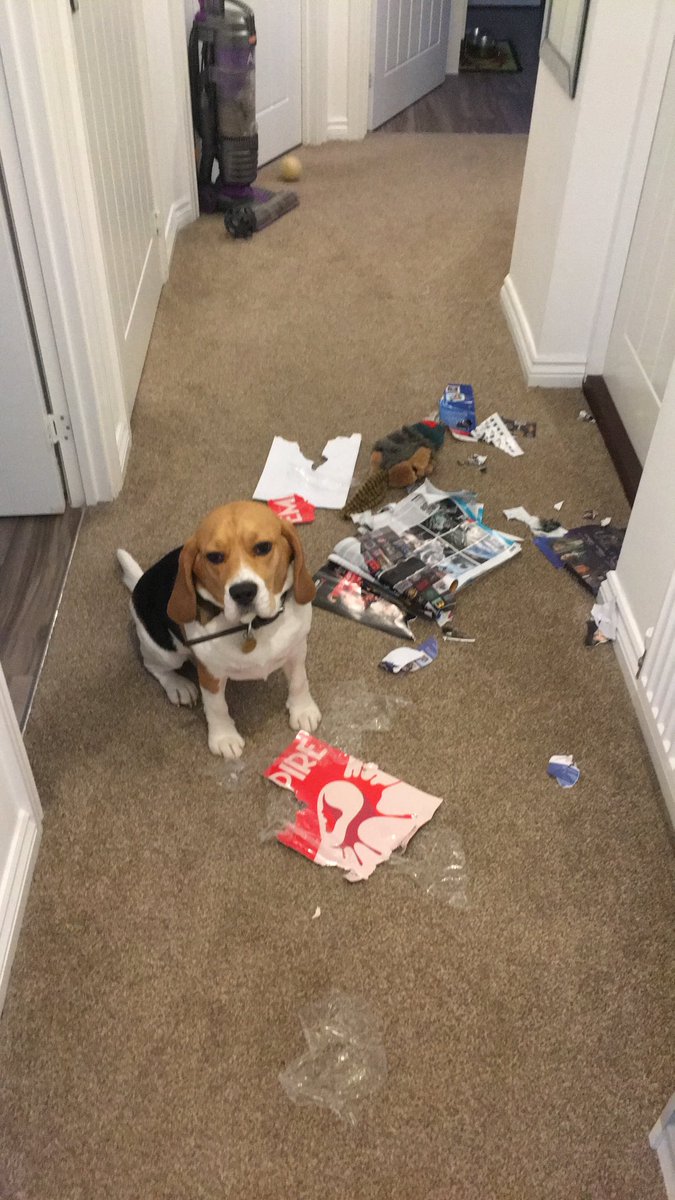 SparkyRach's tweet photo. @empiremagazine sad new issue day in this household! https://t.co/rrrT5IyMS0