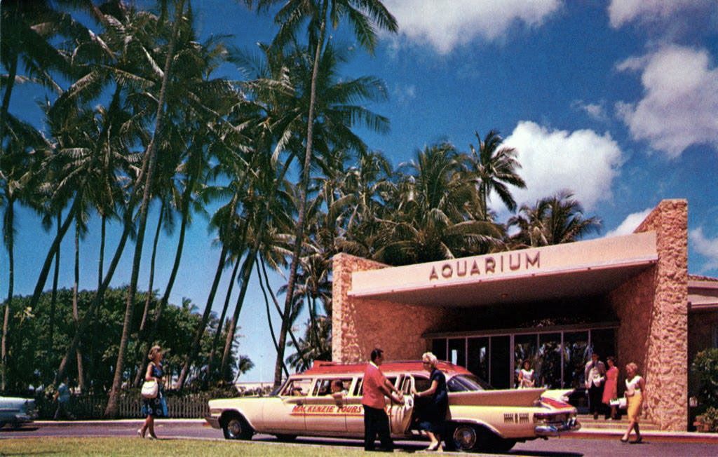 DiamondHeadLuau's tweet photo. How cool is this vintage photo of our Luau location! Our guests get exclusive access to the Aquarium before the show on the ocean-front lawn https://t.co/gsQfwd1IO2