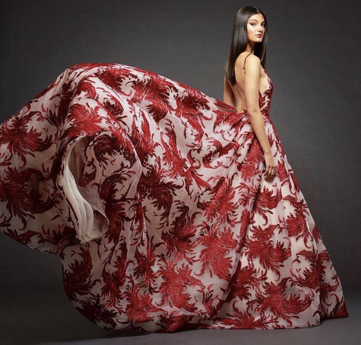 BellaBiancaIL's tweet photo. @Lazaro_Bridal Trunk Show, Nov. 17-18 at Bella Bianca Oak brook. 630.627.4027 to book! ✨ https://t.co/CSrzu0Id1s