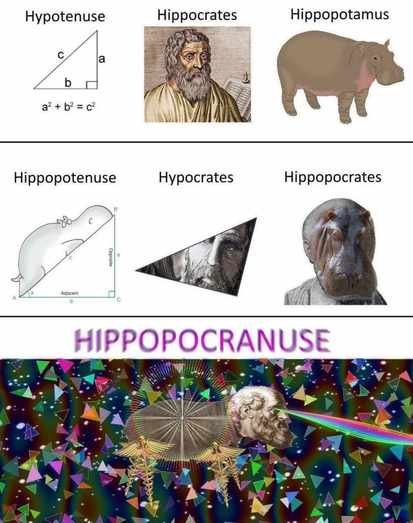 memescentrai's tweet photo. Math is good for you https://t.co/uhvPtEXgHF