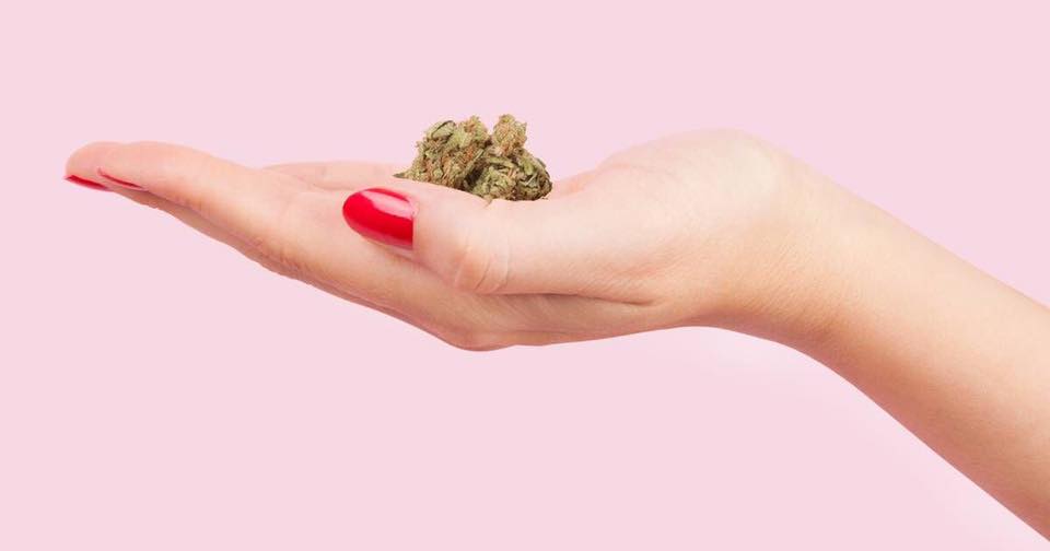 Cannabis_______ tweet picture