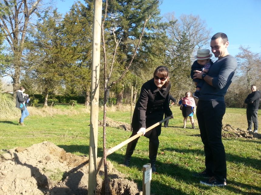 Une commune des #Landes plante un #arbre fruitier à chaque #naissance #inspiration ow.ly/bg5J30gdn7U