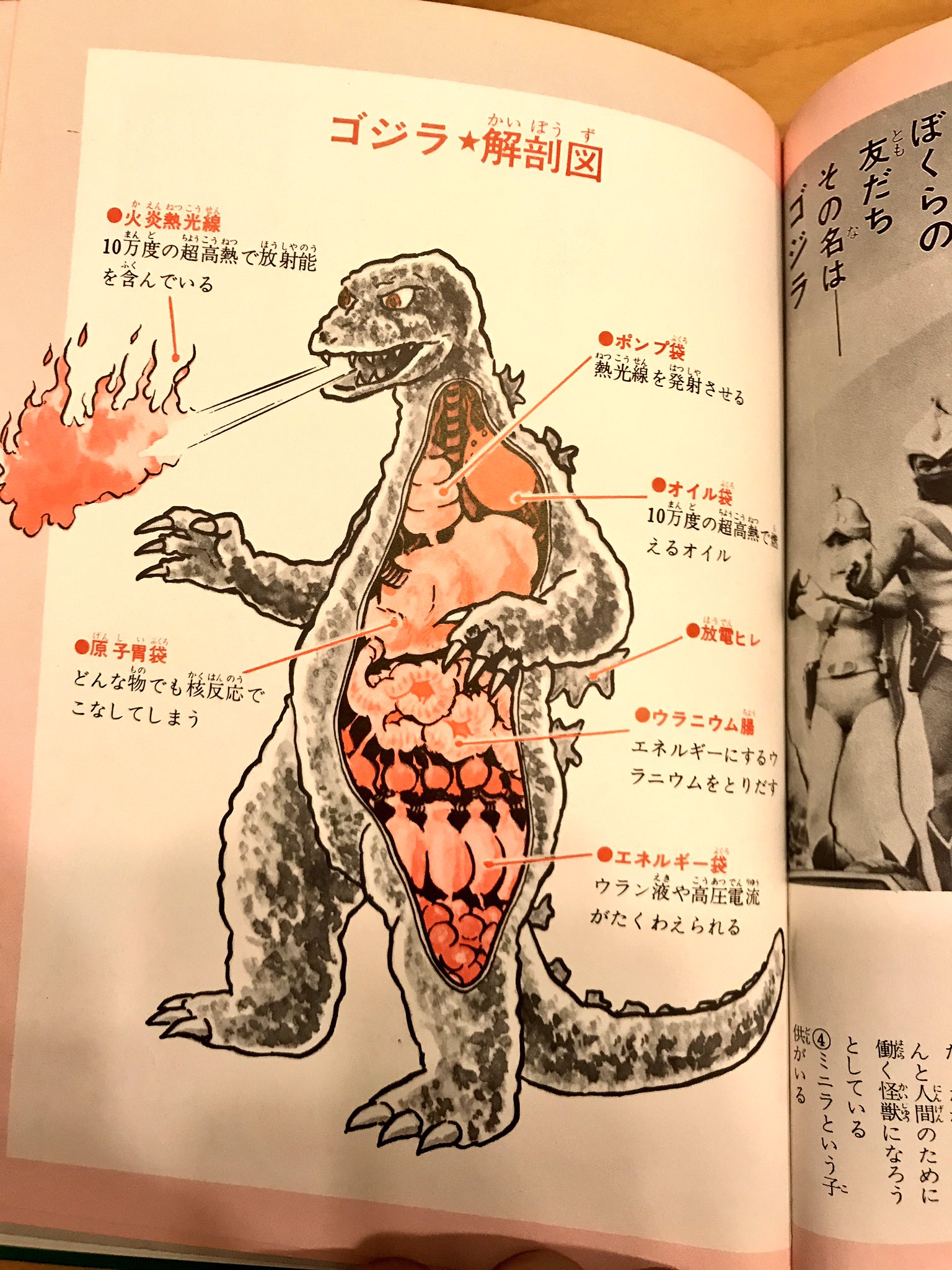 （写真で見る世界シリーズ）　流星人間ゾーン図鑑 秋田書店 写真で見る世界シリーズ 流星人間ゾーン図鑑 当時物 の