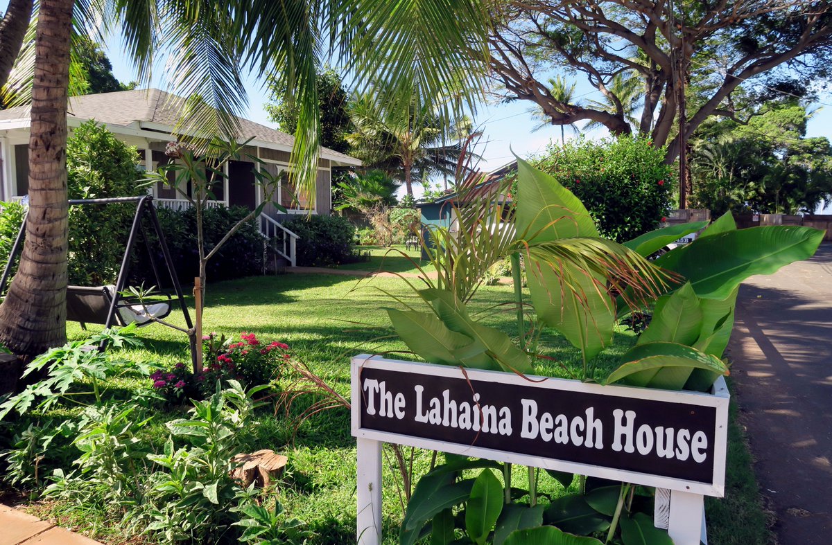 Worldadventuredivers Favourite Place To Stay In Maui The Lahaina Beach House