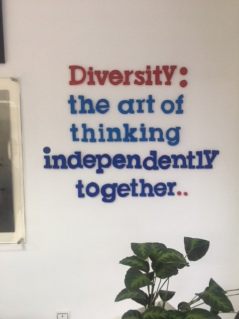Thoughtful poster Al Ra-ed Al Arabi School with a vision and mission to match. What are your best statements about diversity? <a href="/CISEducation/">Council of International Schools</a>