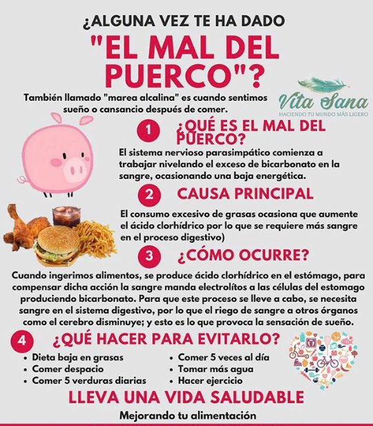 RT NutriologoGiron El mal del puerco jejeje Webcams de México Scoopnest RT NutriologoGiron El mal del puerco jejeje Webcams de México Scoopnest