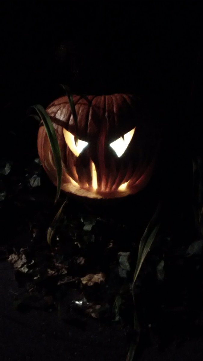 DayoftheHour's tweet photo. Hope everyone had a safe Halloween https://t.co/3vELnaMJ6R