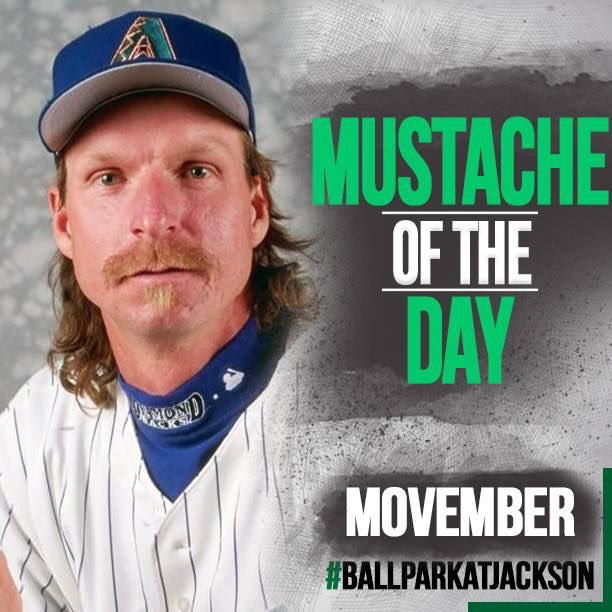 randy johnson mustache