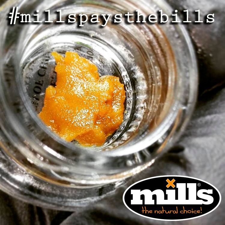 MillsSpain's tweet photo. The natural choice!❌❌❌😃😃👉🏻 #millspaysthebills #millsdna #millscrew #millsrunsthehills #growshops https://t.co/eeVa1E2Xea
