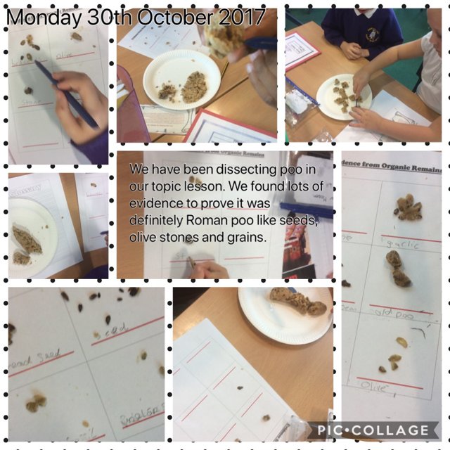 HaveleyHey5J's tweet photo. We started our topic with an exciting investigation into some Roman remains. #searchingforevidence https://t.co/kcNB26eyay