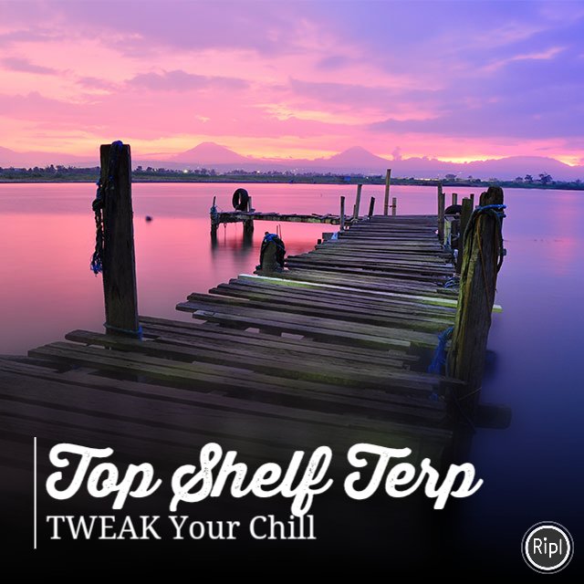 TopShelfTerp's tweet photo. Setting the Mood with Top Shelf Terp
https://t.co/38FiJnoSD9 

#chill #marijuana #weedhumor… https://t.co/Hctzfxfpta https://t.co/yDxir4Yf3j