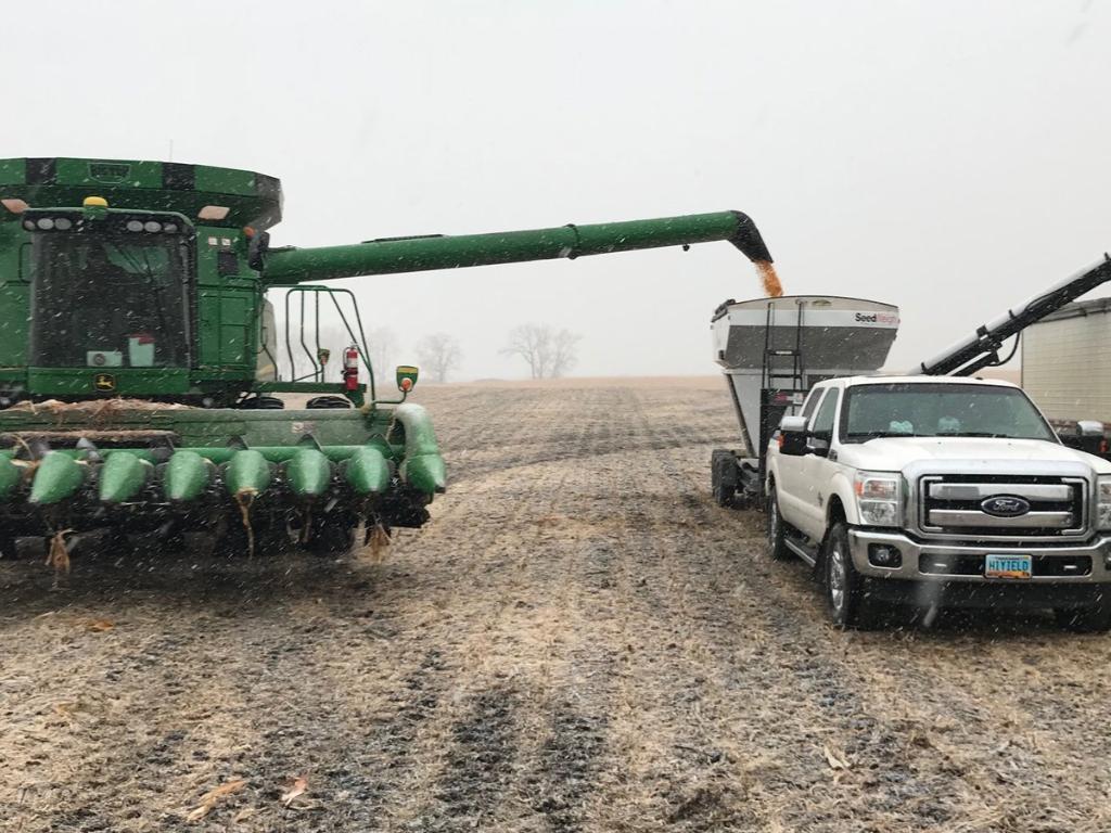 PioneerSeeds's tweet photo. RT @TruaxRon White stuff showed up as we finished the plot. Results: #P8761AM—183.6 bu/ac
#P9188AM—198.2 
#P9120AM—189.6
#P9703AM—193.0 https://t.co/Hb2WWvwHd6