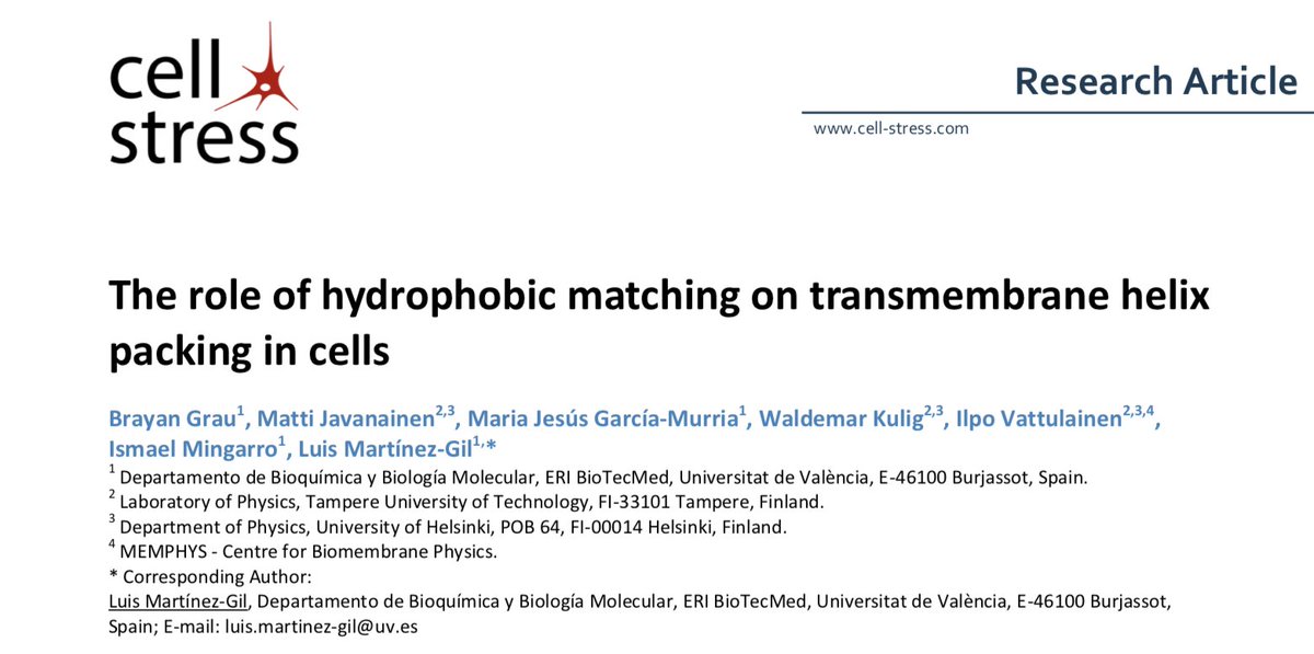 Our latest publication!
cell-stress.com/researcharticl…