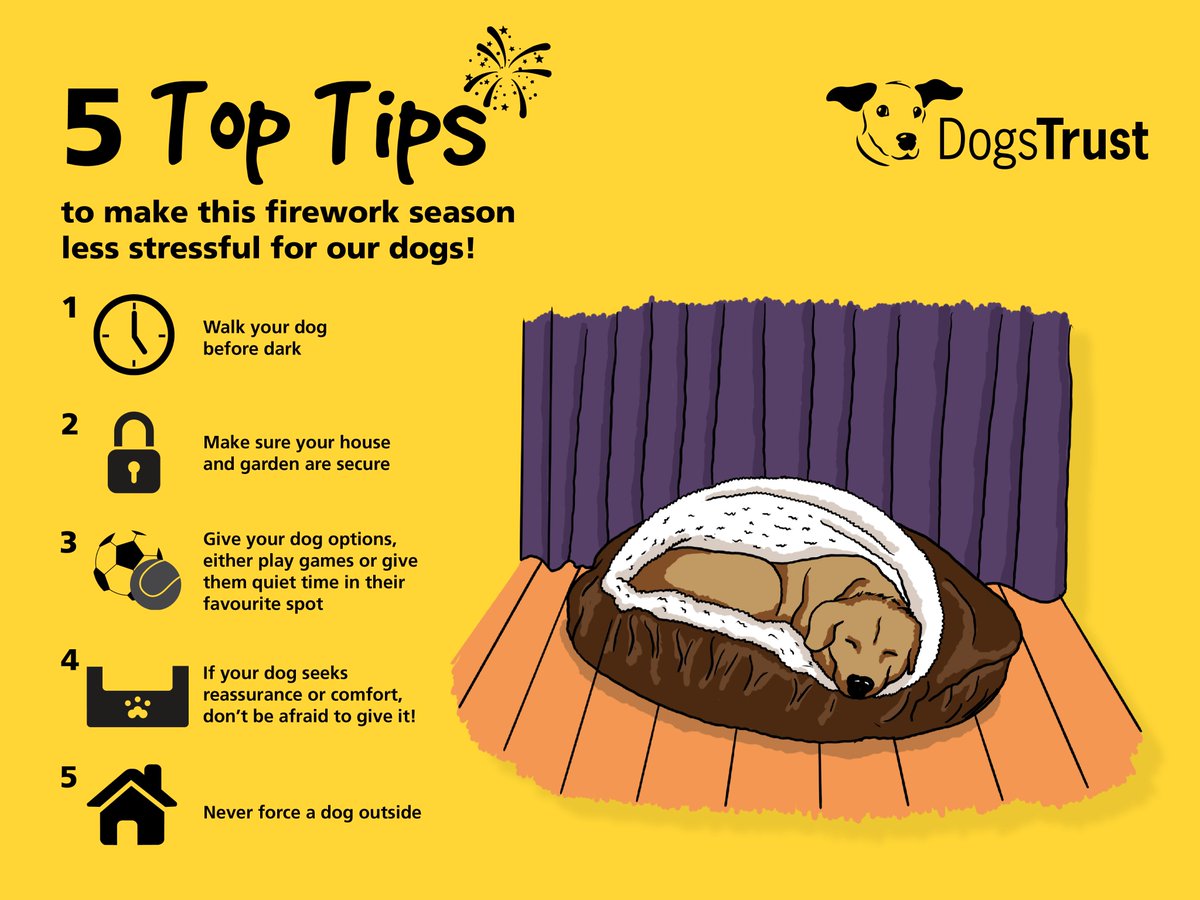DogsTrust's tweet photo. Remember, remember - to keep your dogs happy and calm this November! Please share our top tips... 🐶   #fireworks #dogstrust #november https://t.co/5samjDDpKT