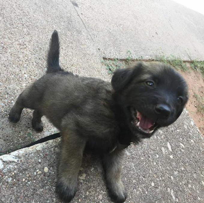 I wish he was little again!! https://t.co/uyCZTp3CKQ<a href="/tag/nature"class="tags"><span>#nature</span></a><a href="/tag/water"class="tags"><span>#water</span></a><a href="/tag/pretty"class="tags"><span>#pretty</span></a>