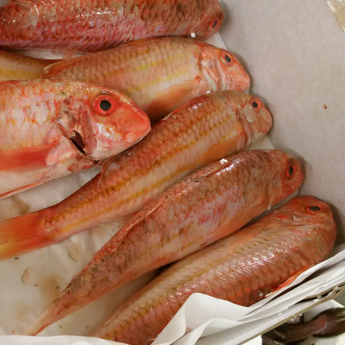 Southbank Fresh Fish tweet media