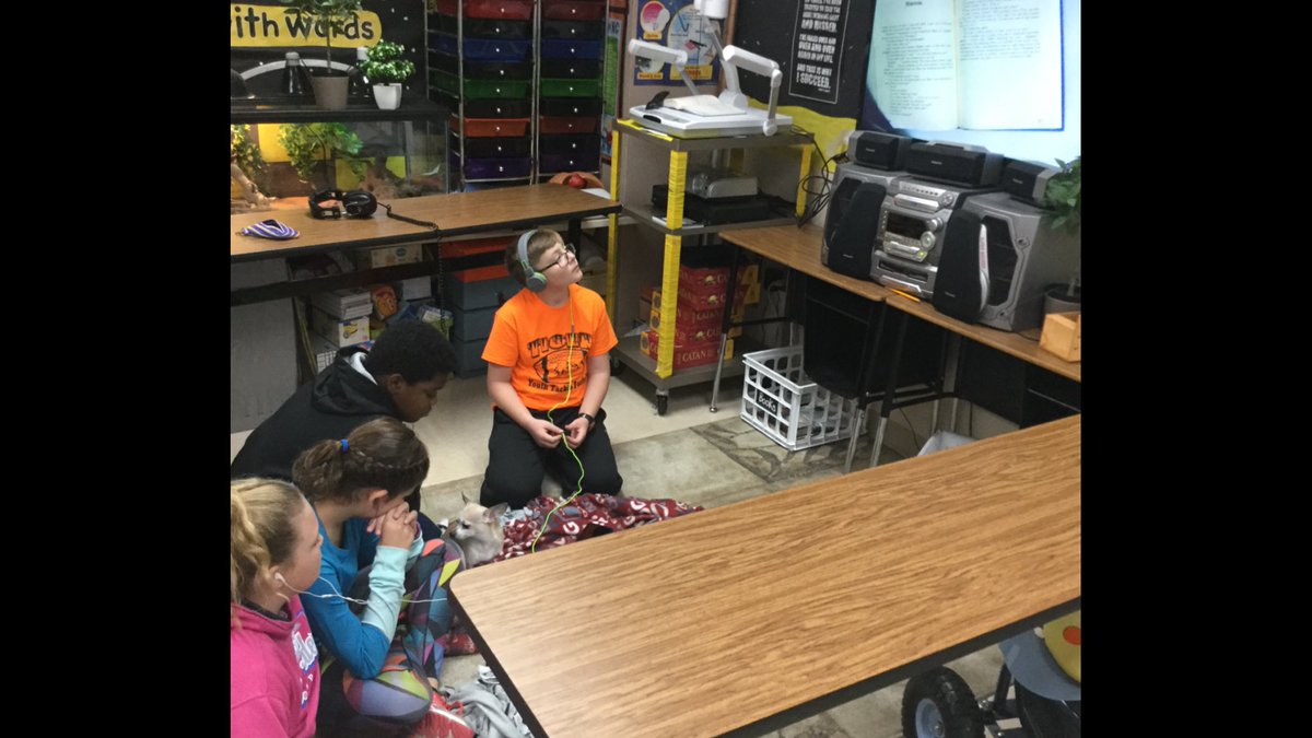 gomrgreene's tweet photo. A little helper came to assist during listen to read today!  #tigersrock #wonder #daisy https://t.co/Aoq9xlvqUb