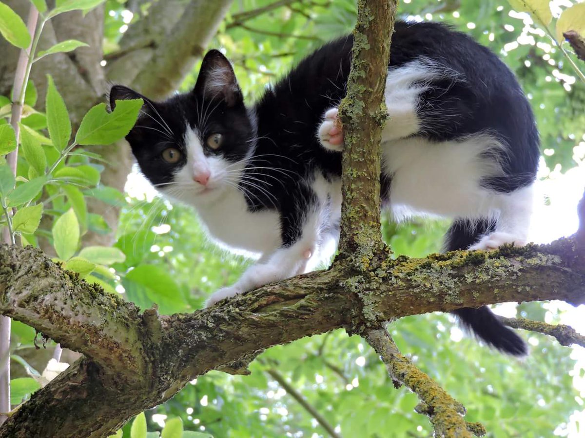 CoralineDauchy's tweet photo. #PostTaChatte https://t.co/iOr56hazwd