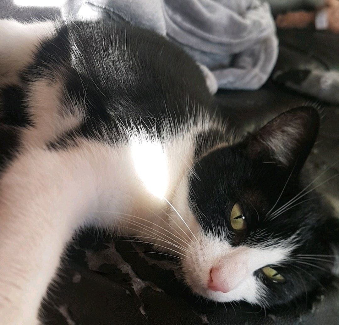 CoralineDauchy's tweet photo. #PostTaChatte https://t.co/iOr56hazwd
