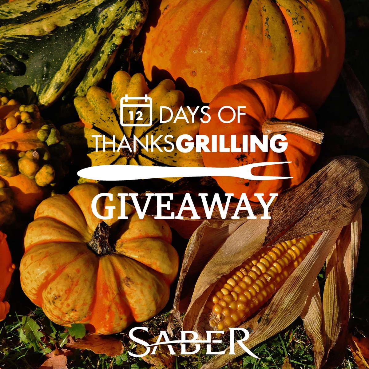 12 Days of #ThanksGrilling begin tomorrow! Check in daily for recipes/tips and to win a SABER accessory kit. #HappyThanksgrilling
