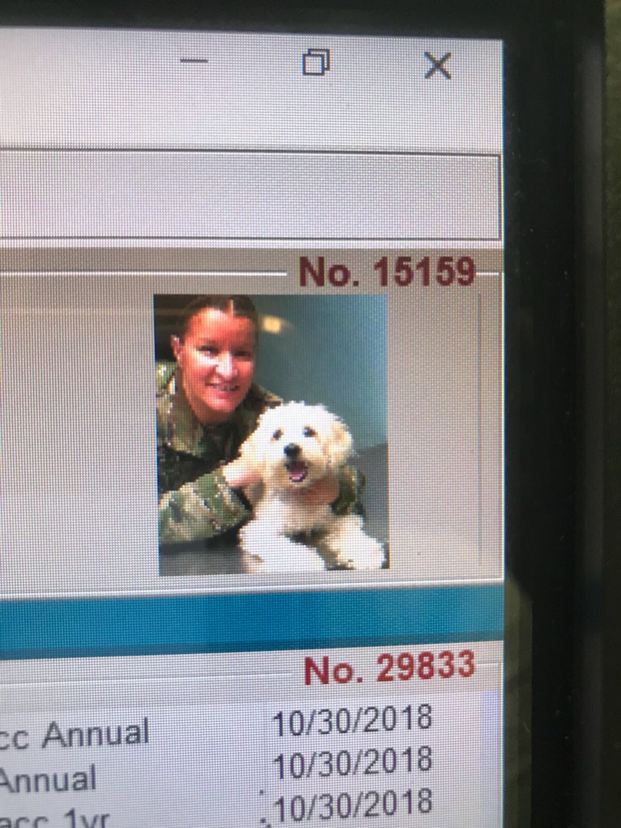 Amelia Smith tweet media