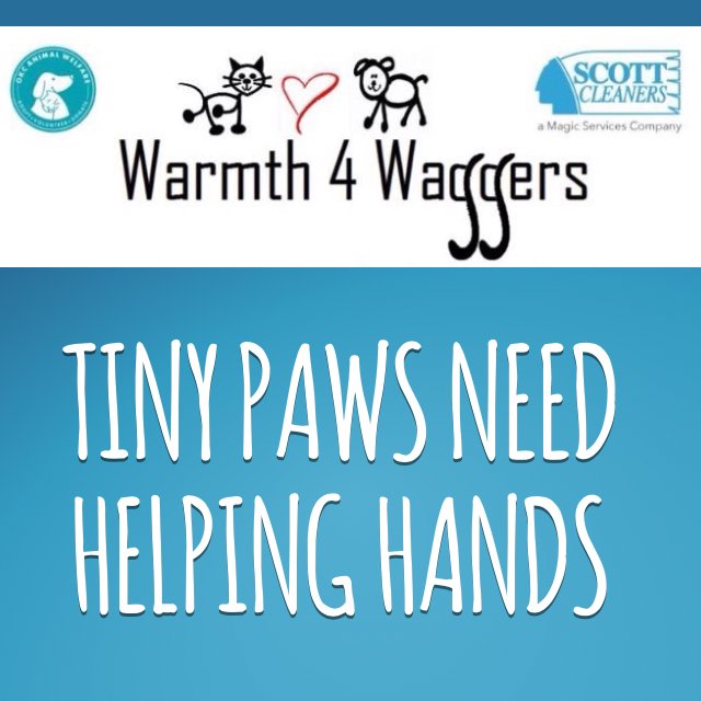 ScottCleaners's tweet image. s.ripl.com/0djf4a  #donate #tistheseason #give @scottcleaners @okcpets via ripl.com