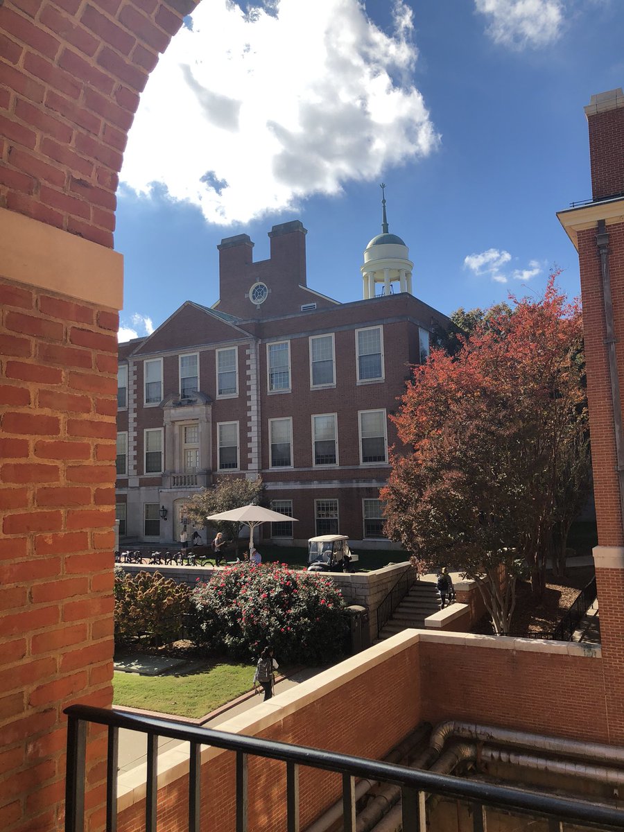 WakeForest's tweet photo. #FallintheForest 🍁🎩🍂 https://t.co/G1TqvLXndS
