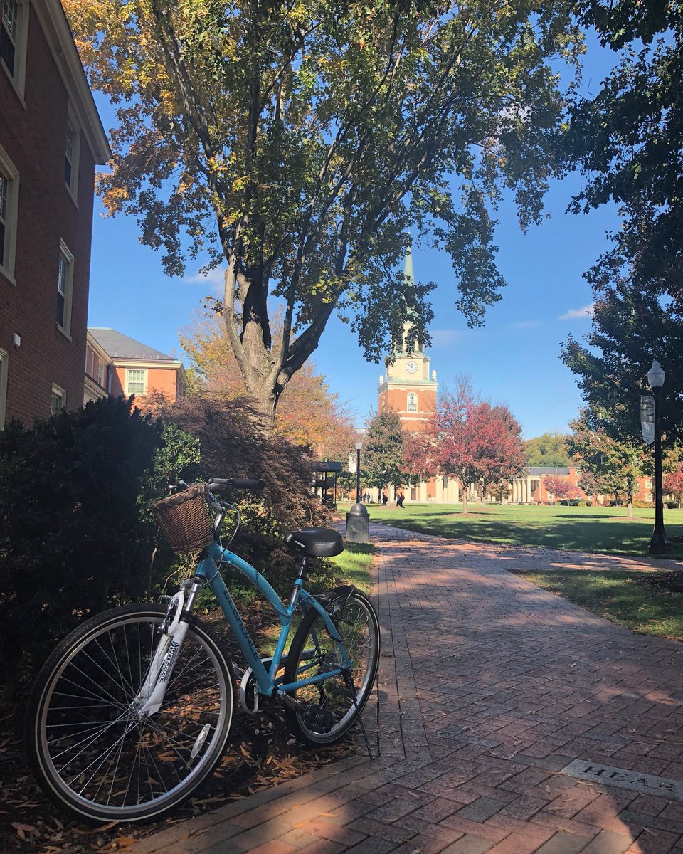 WakeForest's tweet photo. #FallintheForest 🍁🎩🍂 https://t.co/G1TqvLXndS