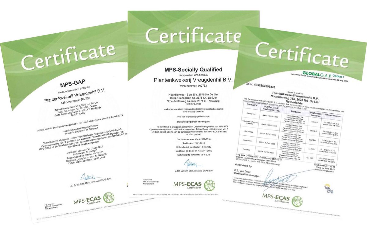 De verlenging van onze MPS-certificaten zijn weer binnen!