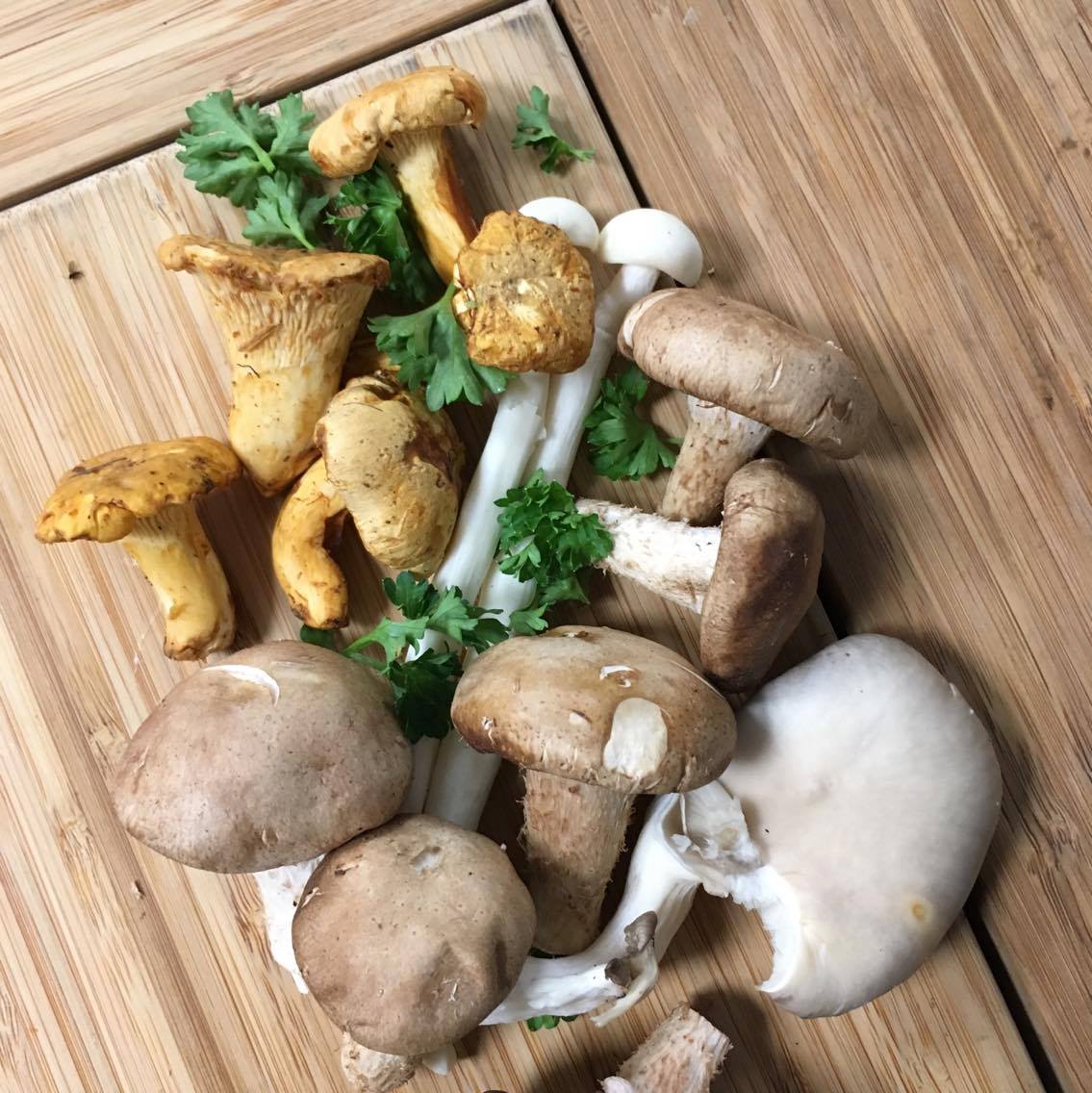 BurgooBistro's tweet photo. Parsley and a magical medley of mushrooms. Who can #NameThatDish? https://t.co/wAqthaVspl