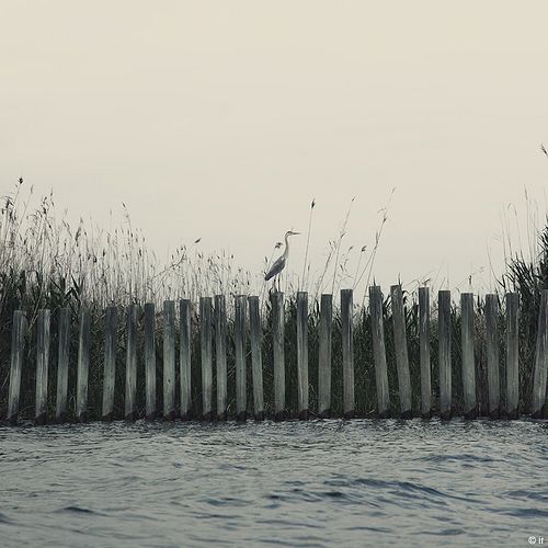 Ph. © Iban Ramon