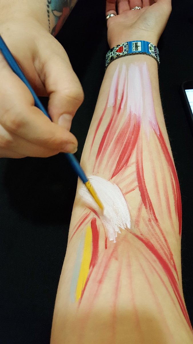 ArtbeatEd's tweet photo. Setting up for out talk &amp; demonstration of how we use art to teach anatomy @MedesthaiEnt Regents University London #artbeated https://t.co/jiSUckQYXq