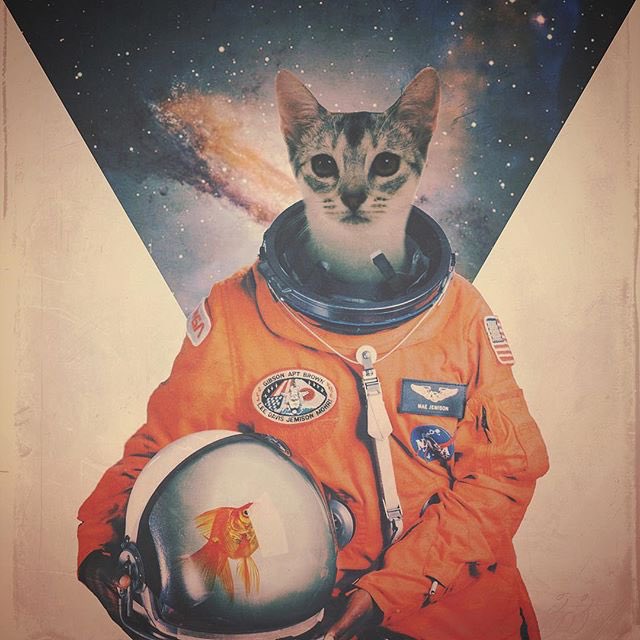 collage_expo's tweet photo. stay cool https://t.co/bxKw2blXHq