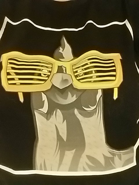 Judy_catlady's tweet photo. Finally got my shirt today!! @DooM49 #doom49 #chicken #needtobuyaframe lolol https://t.co/U4ftHXTrsA