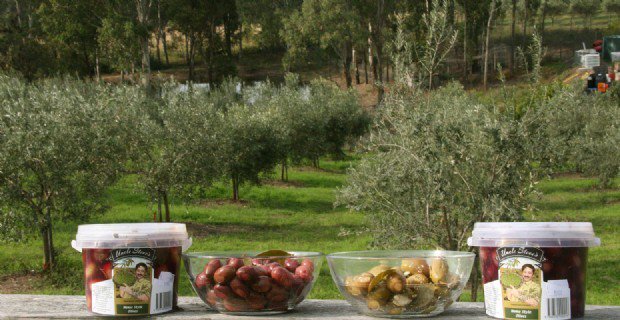 FarmGateTrail's tweet image. There is an olive farm in the hills of Silverdale near Penrith you can visit
See bit.ly/1LYy476 #SydneyFarm