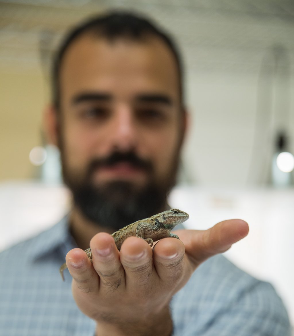 PSUScience's tweet photo. They love their lizards! π¦ @TracyLangkilde @PSUresearch @_Geek_Fish_ @scissorsfiend https://t.co/WES1ktvVFj