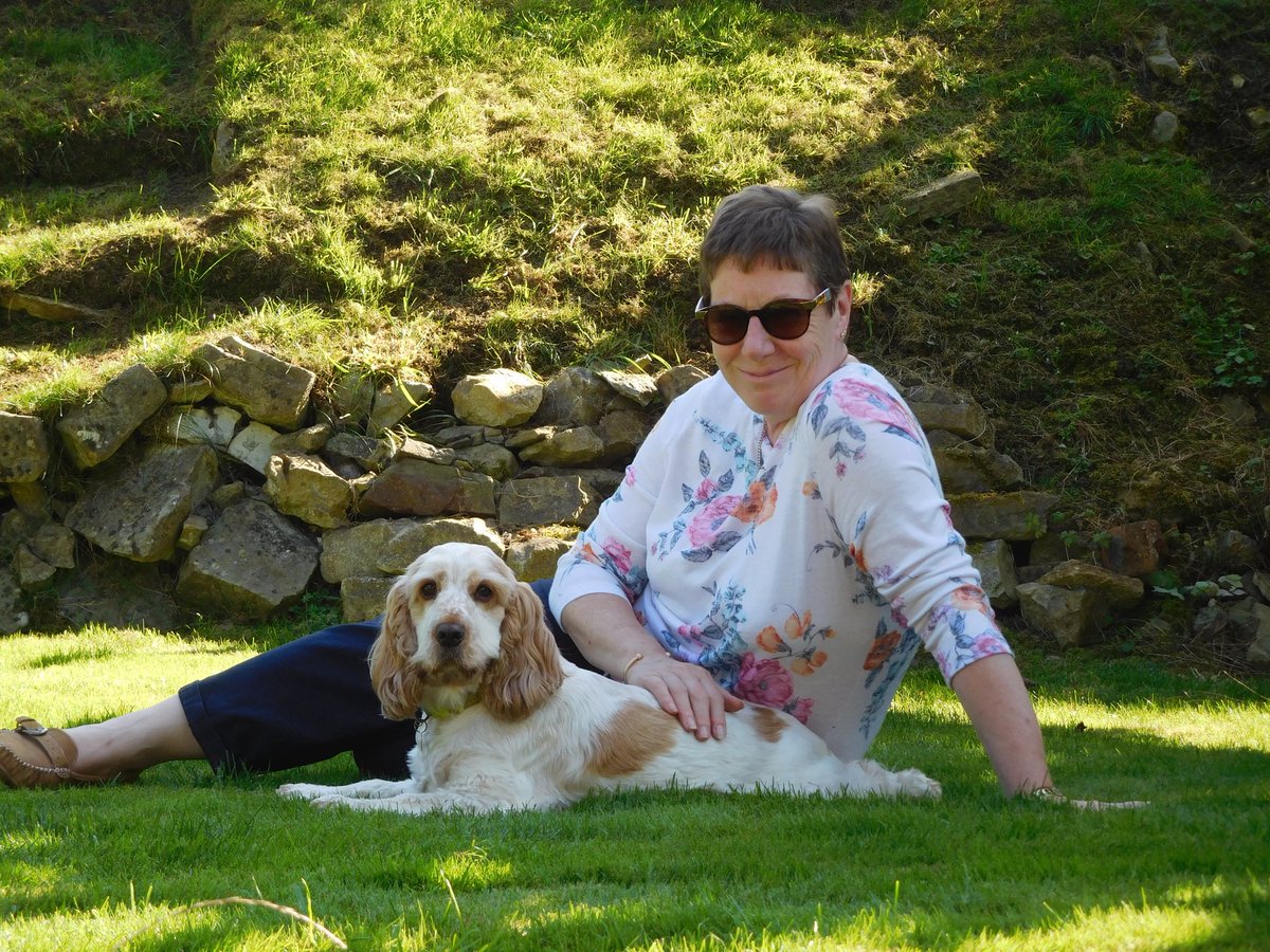 Ian Anderson tweet media