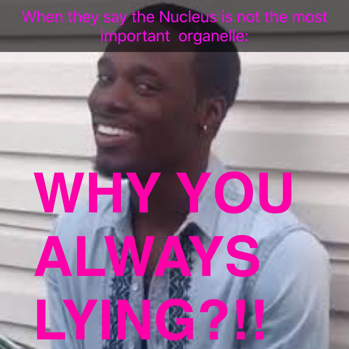 Nucleye's tweet photo. Vote for the most important organelle!! ¡¡¡Vote Nucleus!!! @mslaflamme #Akins #Organellewars https://t.co/LuNU4lznXH