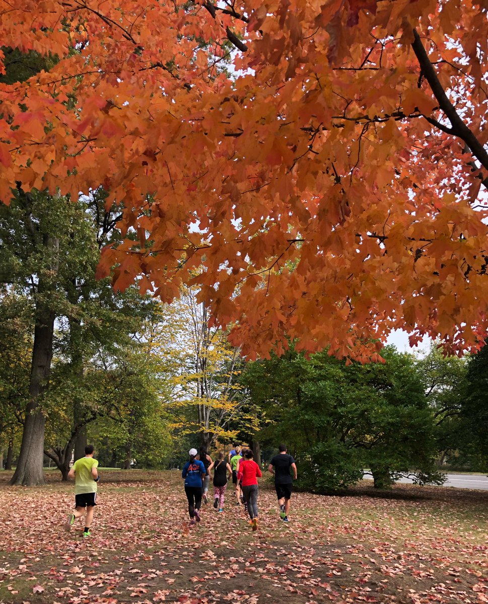 nycmarathon's tweet photo. What a great time at our Central Park Running History Tour today. Great way to see the park! Sign up for a tour here https://t.co/TDnsMemgs4 https://t.co/75sWCrh1Fx