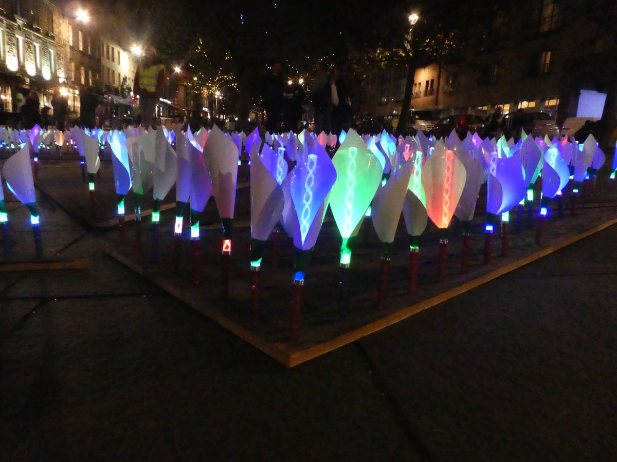 CathRuane's tweet photo. Life, Death and Lilies installation in the Grassmarket-thought provoking. Write your message on one of the 1500 lilies. @2AbsentFriends #ToAbsentFriends #TAF2017 https://t.co/QgBaU2bGSr