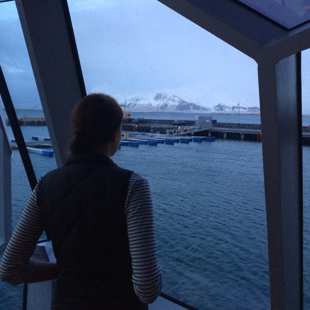 CityPassProject's tweet photo. The only thing more beautiful than the view inside @HarpaReykjavik is the view outside 😍 https://t.co/KhgolRXN3F