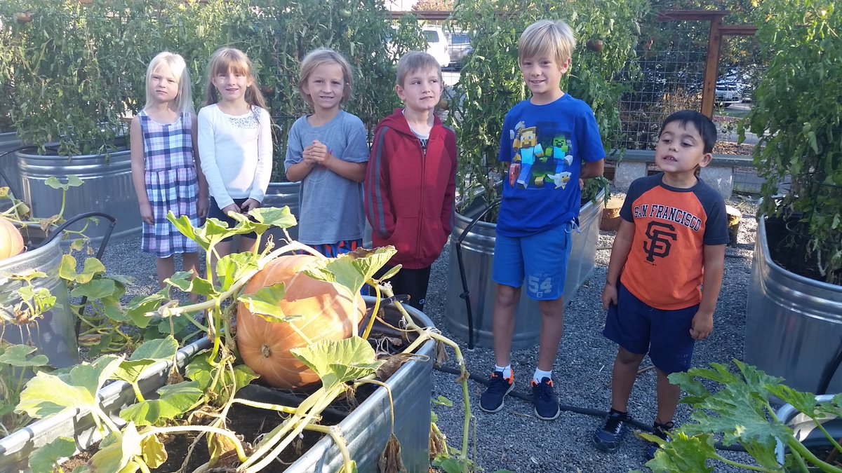 SVElementary's tweet photo. Great pumpkin from the new Sun Valley garden!  Five lucky winners picked home grown Happy Lane pumpkins. https://t.co/TFekYzqnxU