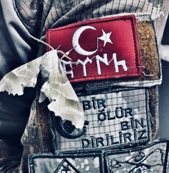 Eeda_Akk's tweet photo. #Hakkarisemdinli 'nde 8 Şehit, 8 evlat, 8 umut, 8 gelecek. Dünyada 8 eksik, cennette 8 fazlayız... https://t.co/wGnnG5Jo8e