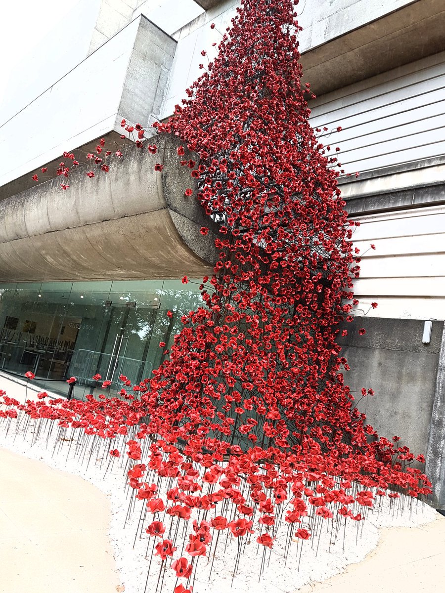 Everyone...try make an effort to see the amazing ceramic poppy display at @UlsterMuseum #Belfast #Remembrance #poppies #rememberingthefallen