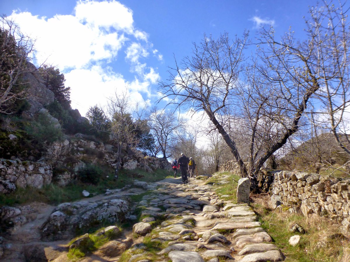 ampa_gaudi's tweet photo. Recordad, este domingo hay excursión y actividades en nuestro flamante huerto, podéis elegir. En cualquier caso, un día estupendo, seguro 👇 https://t.co/Z4zxGXkf6L