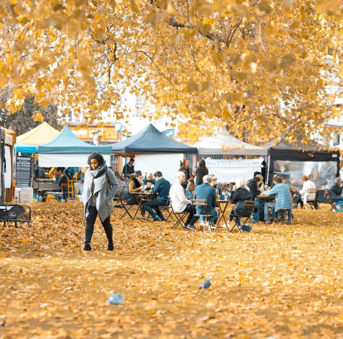 What a spectacular autumn scene  captured by <a href="/LawrenceChirita/">Laurentiu Chirita</a> at @ovalfmJoin us this Sat 10-3pm for the freshest farm produce in SE London💯💯